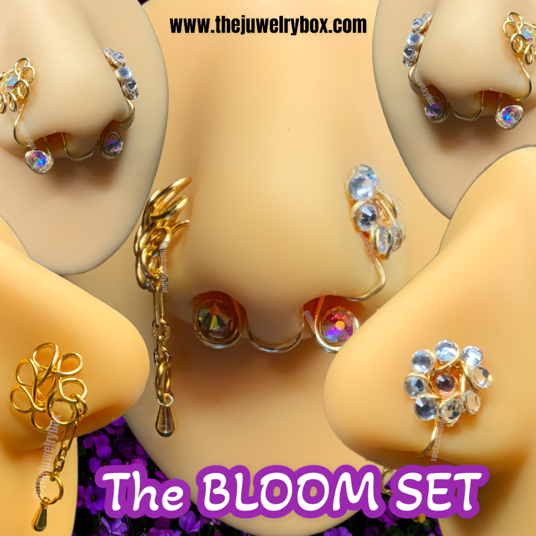 The BLOOM Set